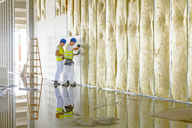 Best Cellulose Insulation in Hermitage, PA